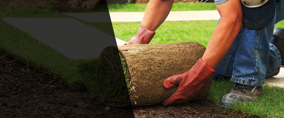 Batesburg Landscapers